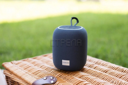 Беспроводная колонка Canyon BSP-8 (серый)