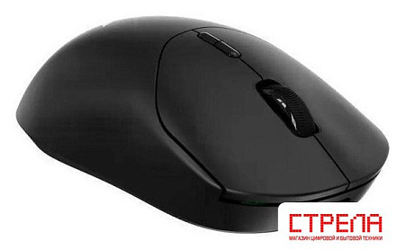 Игровая мышь Rapoo VT2MAXDM (черный)
