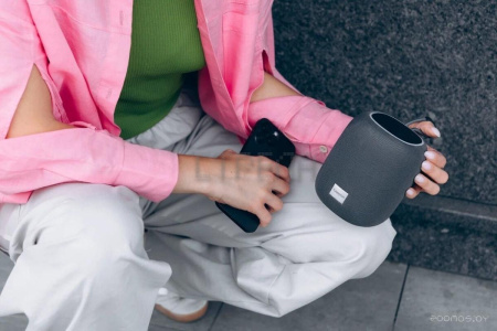 Беспроводная колонка Canyon BSP-8 (серый)