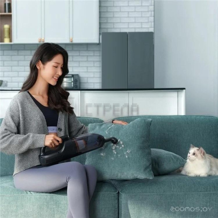 Пылесос Baseus AP02 671500051A (черный)