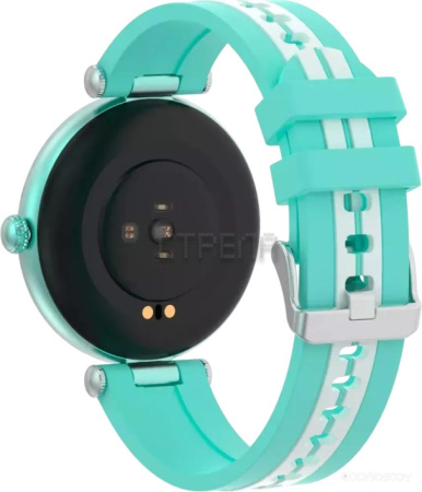 Умные часы Canyon Semifreddo SW-61 (мятный)