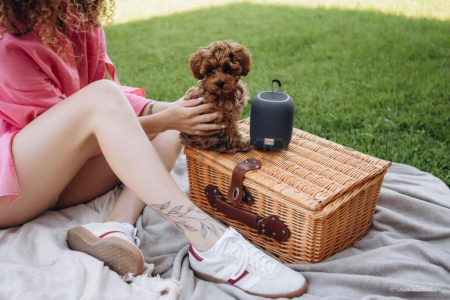 Беспроводная колонка Canyon BSP-8 (серый)