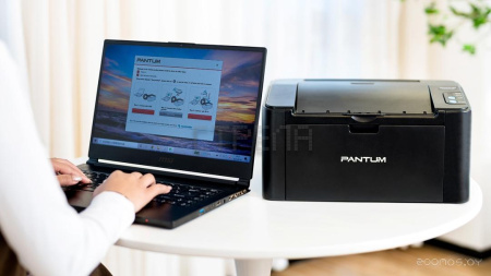 Принтер Pantum P2500