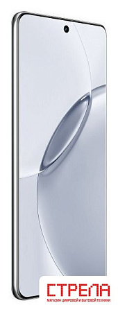 Телефон Realme 16 Pro+ 5G 12GB/512GB международная версия (серый)
