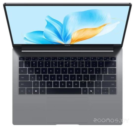 Ноутбук Honor MagicBook X14 2025 FRG-X 5301ALXL