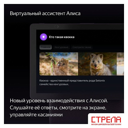 Колонка с умным дисплеем Яндекс Станция Дуо Макс (красный)