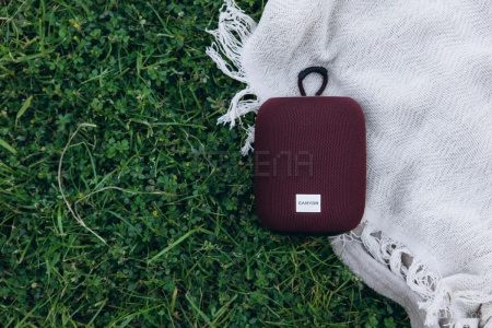 Беспроводная колонка Canyon BSP-8 (серый)