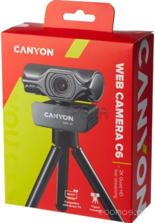 Веб-камера Canyon CNS-CWC6N