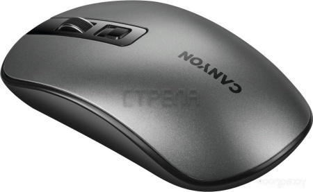 Мышь Canyon CNS-CMSW18DG