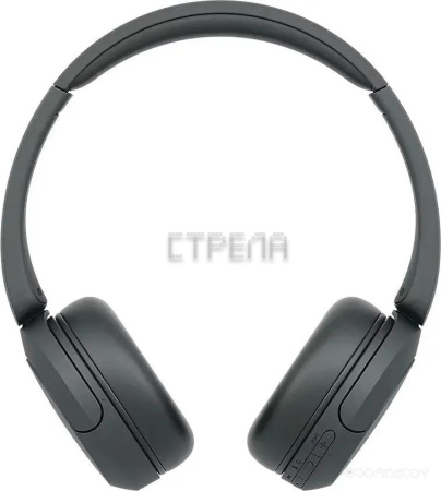 Наушники Sony WH-CH520 (черный)