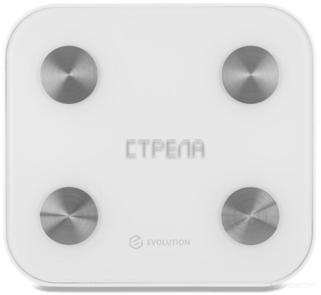 Напольные весы Evolution BTF2 (белый)