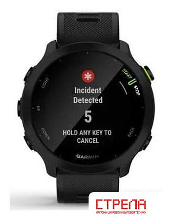 Умные часы Garmin Forerunner 55 (черный)