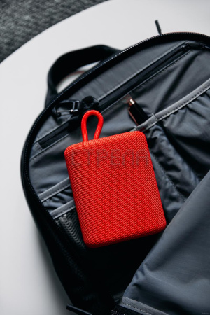 Беспроводная колонка Canyon CNE-CBTSP4BL