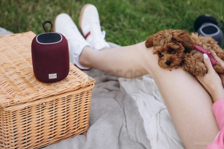 Беспроводная колонка Canyon BSP-8 (серый)