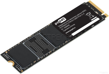 SSD PC PET 2TB PCPS002T3