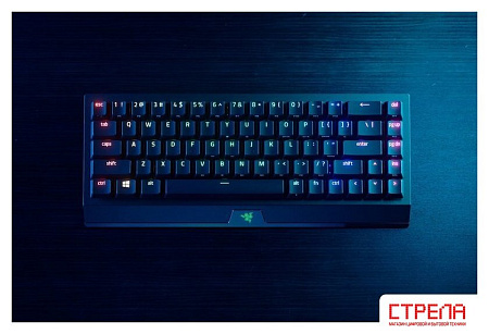 Клавиатура Razer Blackwidow V3 Mini HyperSpeed Green Switch