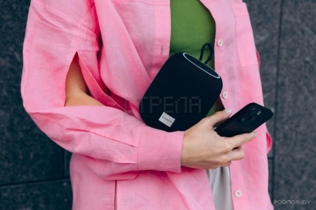 Беспроводная колонка Canyon BSP-8 (серый)