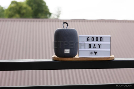 Беспроводная колонка Canyon BSP-8 (серый)