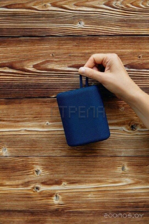 Беспроводная колонка Canyon CNE-CBTSP4BL