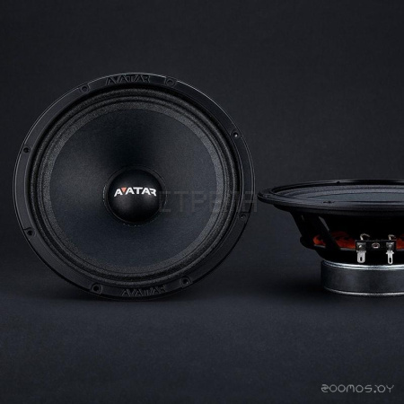 Среднечастотная АС Avatar MTU-61LE