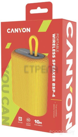 Беспроводная колонка Canyon CNE-CBTSP4Y