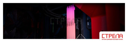 Оперативная память Kingston FURY Beast RGB 2x32ГБ DDR4 2666 МГц KF426C16BB2AK2/64