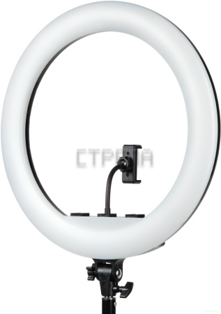 Кольцевая лампа Falcon Eyes BeautyLight 480RC LED