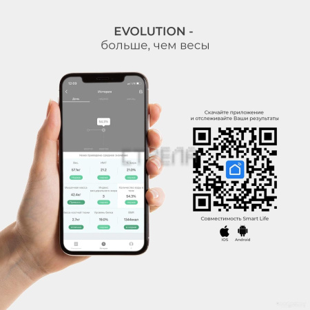 Напольные весы Evolution BTF3 (черный)