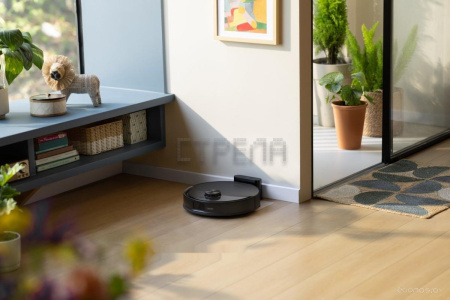 Робот-пылесос Roborock Q8 Max Pro RRA1TAL Q8MRP52-02 (с русской озвучкой, черный)