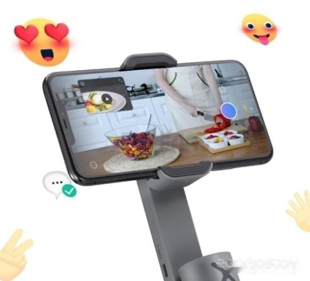 Стабилизатор Zhiyun Smooth X (серый)