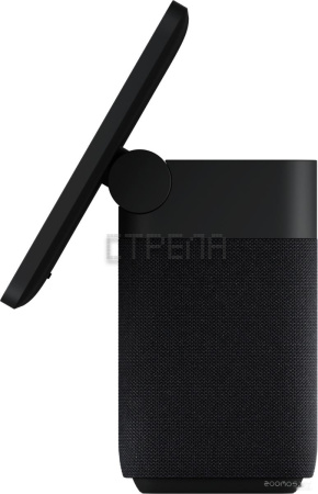 Колонка с умным дисплеем Яндекс Станция Дуо Макс (черный)