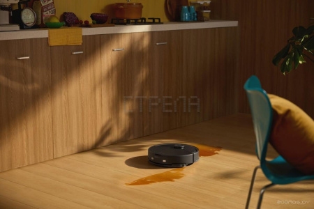 Робот-пылесос Roborock Q8 Max Pro RRA1TAL Q8MRP52-02 (с русской озвучкой, черный)