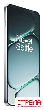 Телефон OnePlus Ace 6 12GB/256GB китайская версия (серебристый)