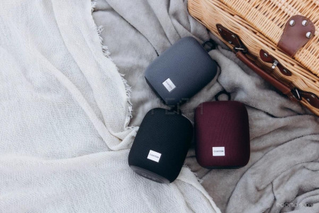 Беспроводная колонка Canyon BSP-8 (серый)