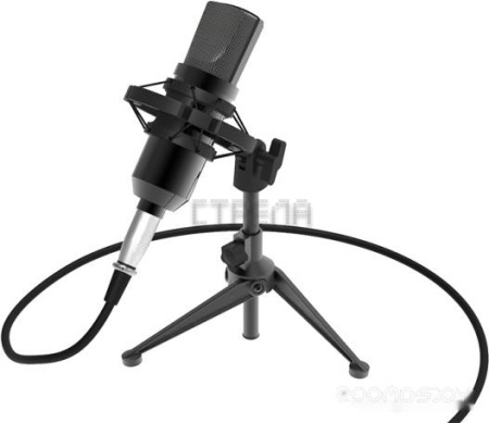 Микрофон Ritmix RDM-160