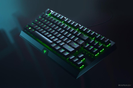 Клавиатура RAZER BlackWidow V3 Tenkeyless Green Switch