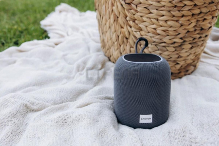 Беспроводная колонка Canyon BSP-8 (серый)