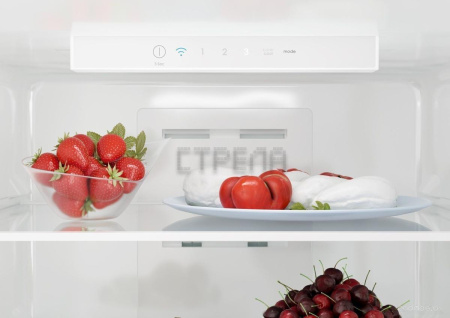 Холодильник Candy CCRN 6200G