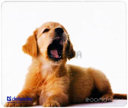 Коврик для мыши Defender Silk (50706)