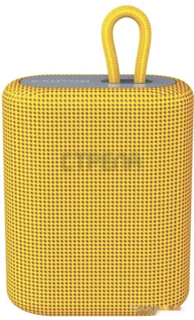 Беспроводная колонка Canyon CNE-CBTSP4Y