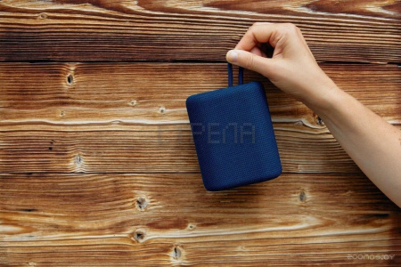 Беспроводная колонка Canyon CNE-CBTSP4BL