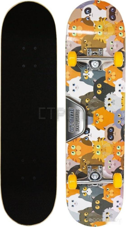 Скейтборд ATEMI ASB31D01 31x8