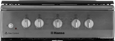 Кухонная плита Hansa FCGX58099