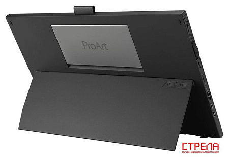 Портативный монитор ASUS ProArt PA169CDV