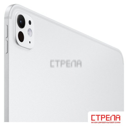 Планшет Apple iPad Pro 13" 2024 5G 256GB (серебристый)