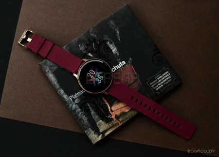 Умные часы Canyon Badian CNS-SW68RR (золотистый/бордовый)