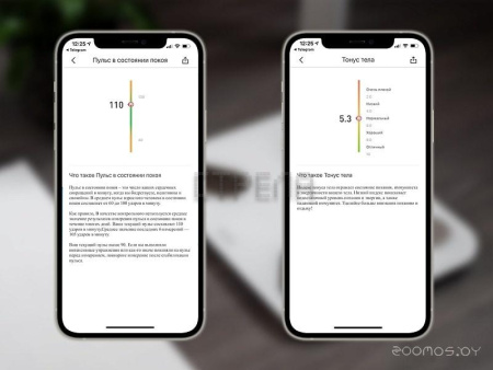 Напольные весы Picooc S1 Pro V2 (белый)