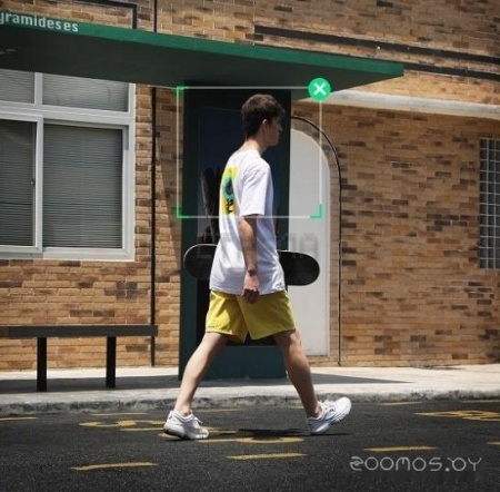 Стабилизатор Zhiyun Smooth X (серый)