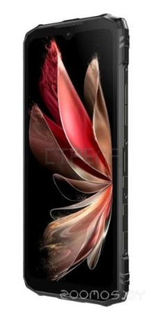 Смартфон DOOGEE Blade 10 Pro 6GB/256GB (серебристый)