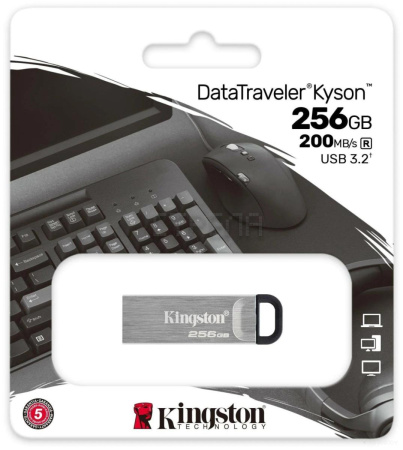 USB Flash Kingston Kyson 256GB